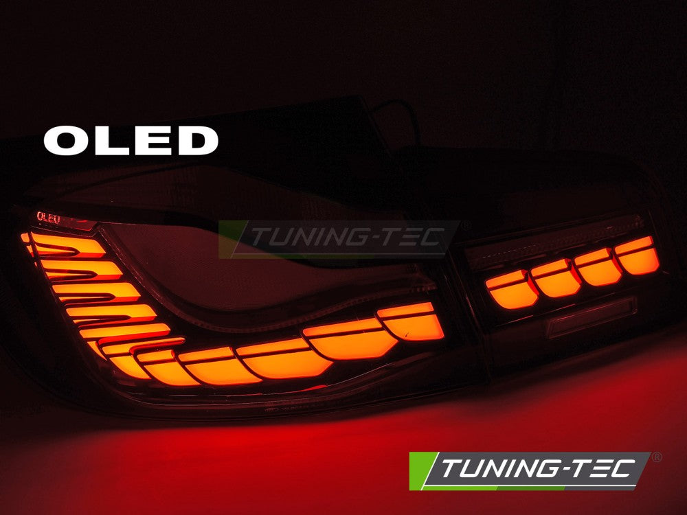 Coppia fari fanali posteriori OLED per BMW Serie 5 F10 2010 2017 black fumè