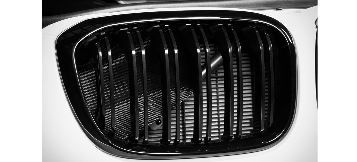 Kit aspirazione diretta in carbonio Eventuri BMW Serie X F97 X3M / F98 X4M - LCI e Pre-LCI