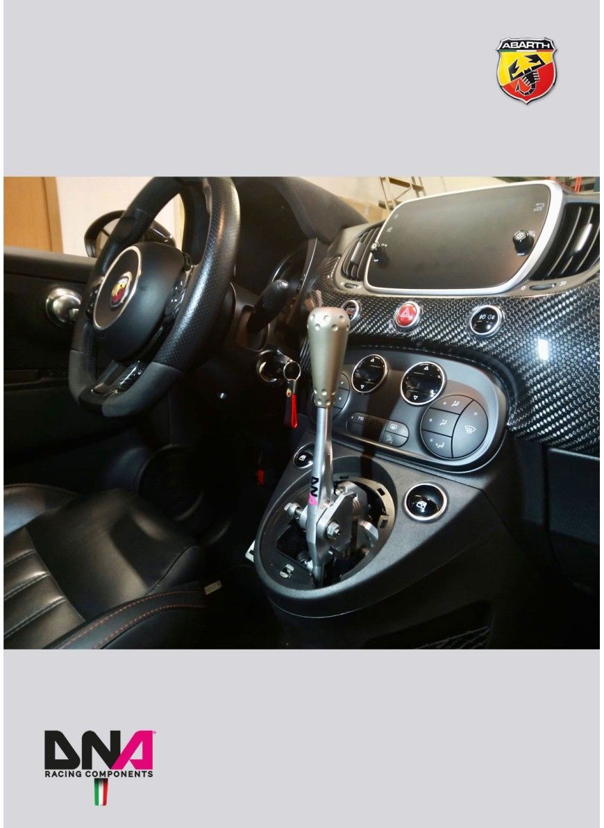 Kit torretta cambio regolabile anodizzata naturale DNA Racing pomello 695 style