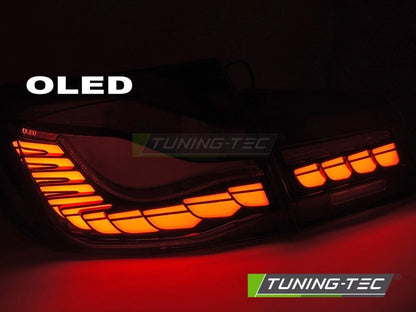 Coppia fari fanali posteriori OLED per BMW Serie 5 F10 2010 2017
