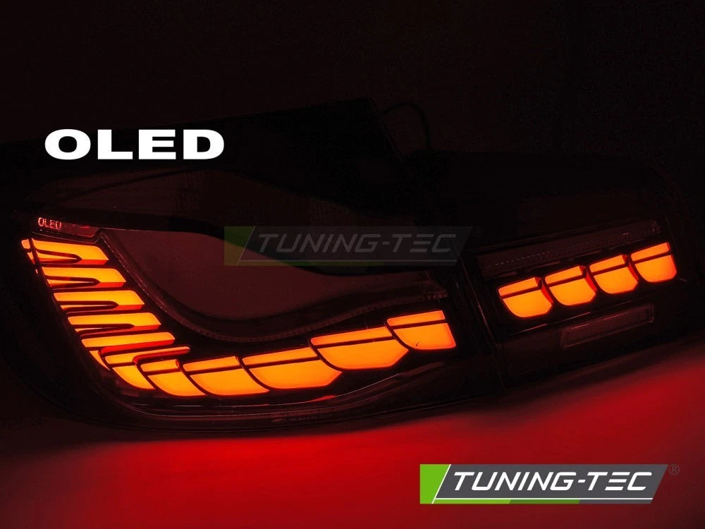 Coppia fari fanali posteriori OLED per BMW Serie 5 F10 2010 2017 black fumè