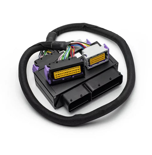 Adattatore CABLAGGIO Ecumaster EMU Black Abarth 500 (EURO 5)